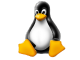 skillsflick Linux